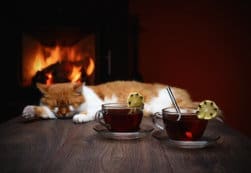 Having your college students home for the holidays isn't always idyllic! There are rules to talk about and adjustments for everyone.